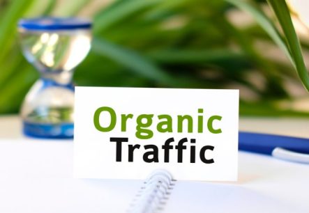 Long-Term Benefits of Organic Traffic for High-Trust Industries